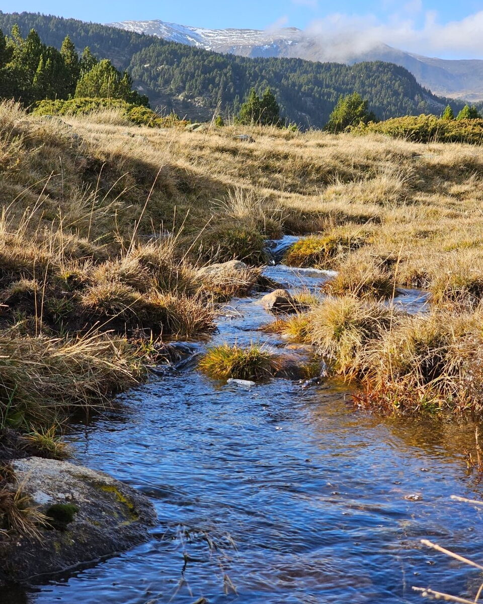 Ruisseau d’altitude dans les herbes dorées